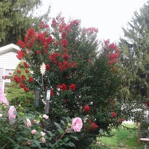 Meet your Posher, Loretta